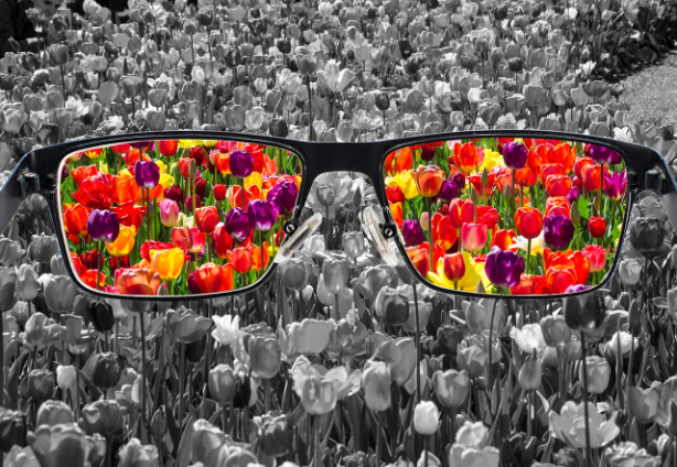 Looking through glasses to see colored flowers